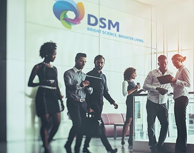 Trabajar con DSM