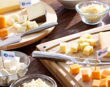 El papel de los cultivos y coagulantes en el sabor y la textura del queso | DSM Food and Beverage