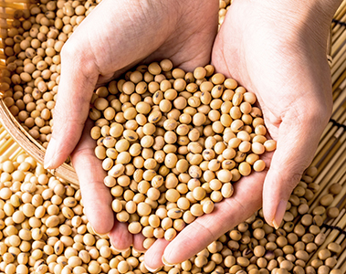 Insights Getting more, using less - Bring new technology into a plant