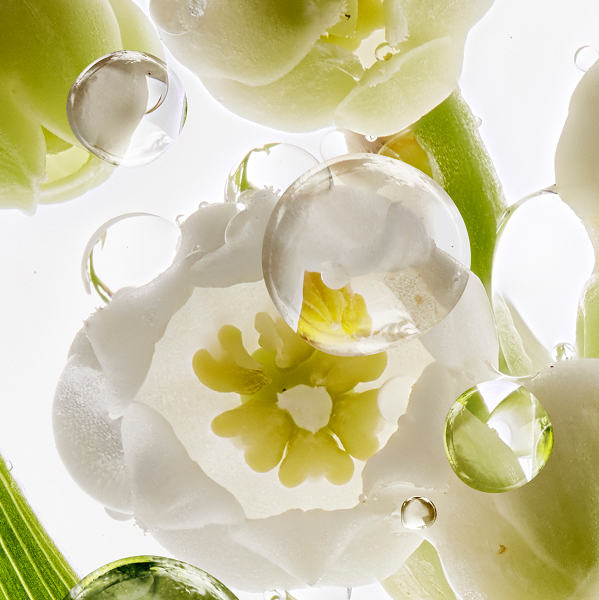 T_Beyond muguet image